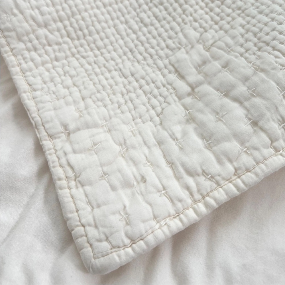 2 Pottery Barn Cotton & Silk Cross Stitch Standard Shams Ivory Cream White Pick - Picture 5 of 9